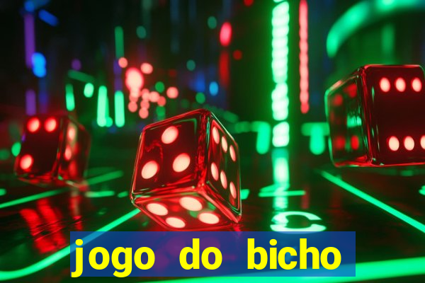 jogo do bicho crash bingo